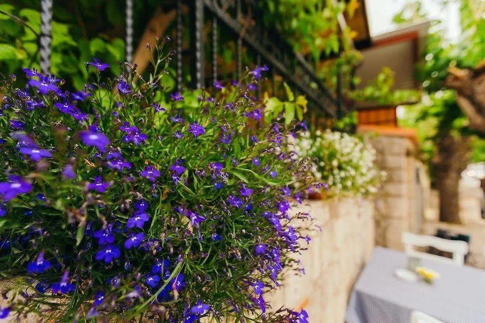 *** Bed & Breakfast Alayaz Hotel Alaçatı Turkiet
